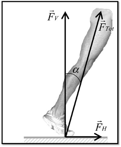 Force production during sprint running.
