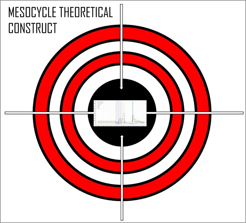 Mesocycle Theoretical Construct