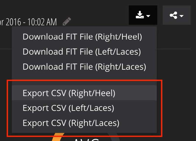 RunScribe CSV File Export