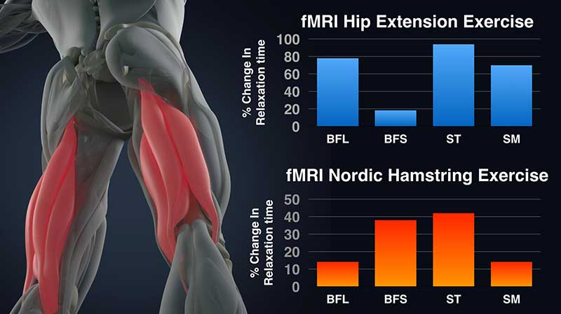 Exercise: Best for Hamstrings? - SimpliFaster