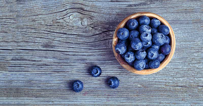 Blueberries Antioxidants