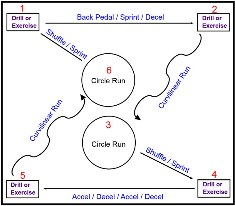 Glycolytic Circuit