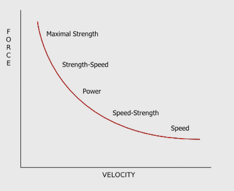 Force-Velocity Curve