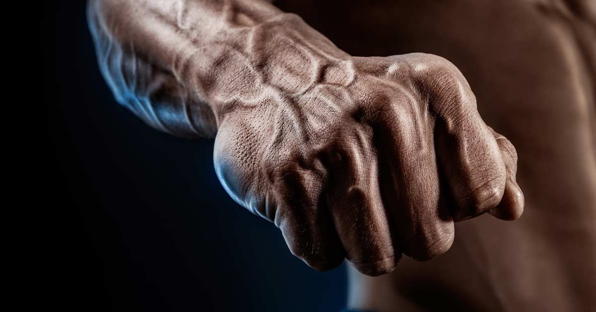Hand Grip Gripper Forearm Strengthener Finger Power Exercise Resistance A+ 
