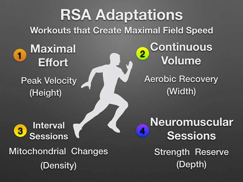 RSA Adaptations