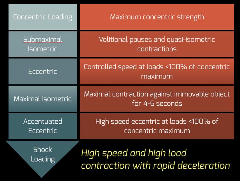 Eccentric Loading Progression
