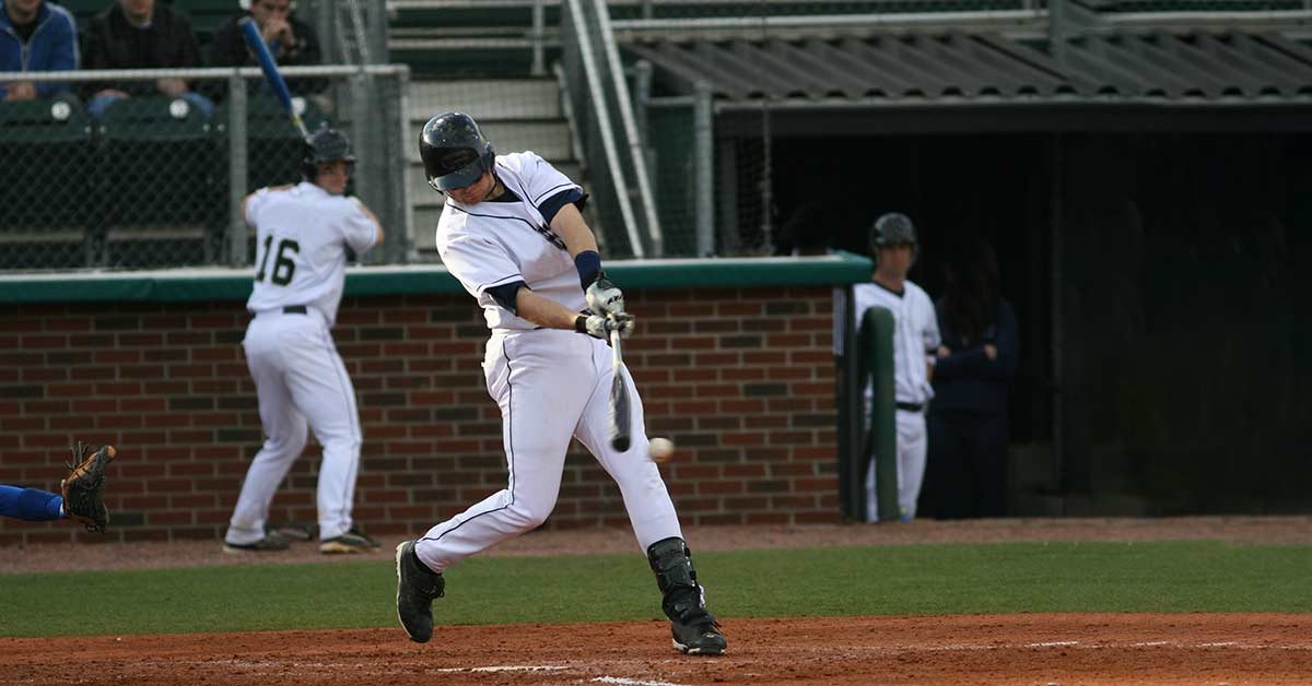 Baseball Hitter