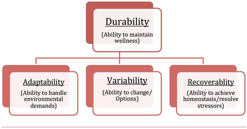 Durability Chart