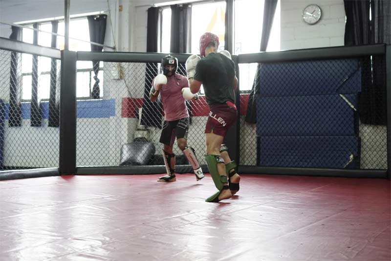 MMA Sparring