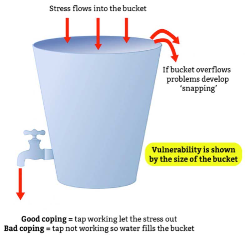 Stress Bucket