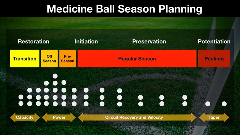 Annual Plan Medicine Balls