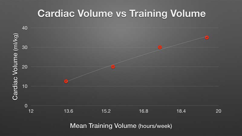 Cardiac Volume Vs Training Volume