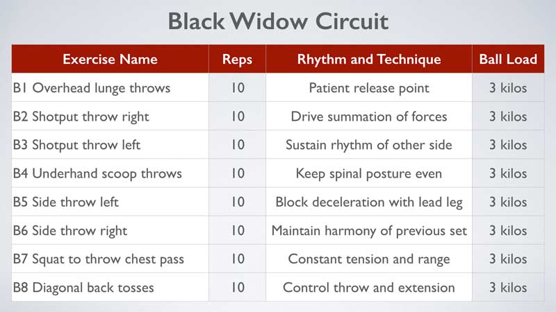 Black Widow Circuit