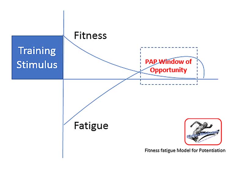 Fitness Fatigue Model
