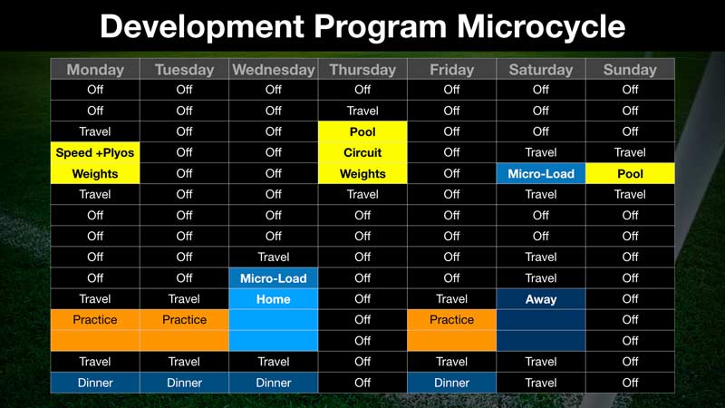Developemental Program Microcycle