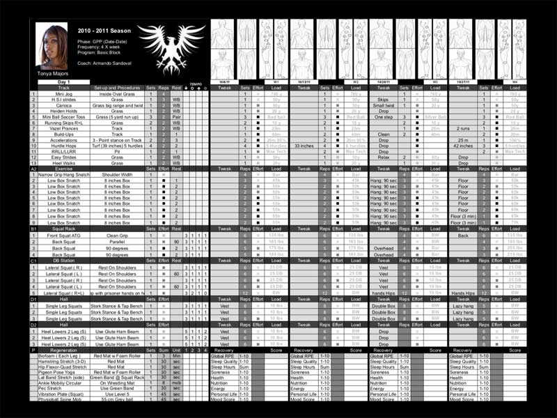 Excel template
