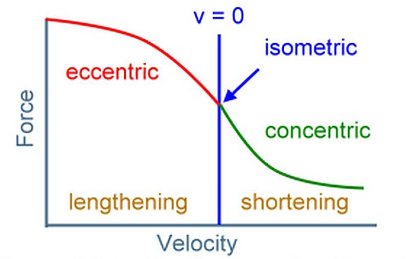 Force-Velocity-Figure