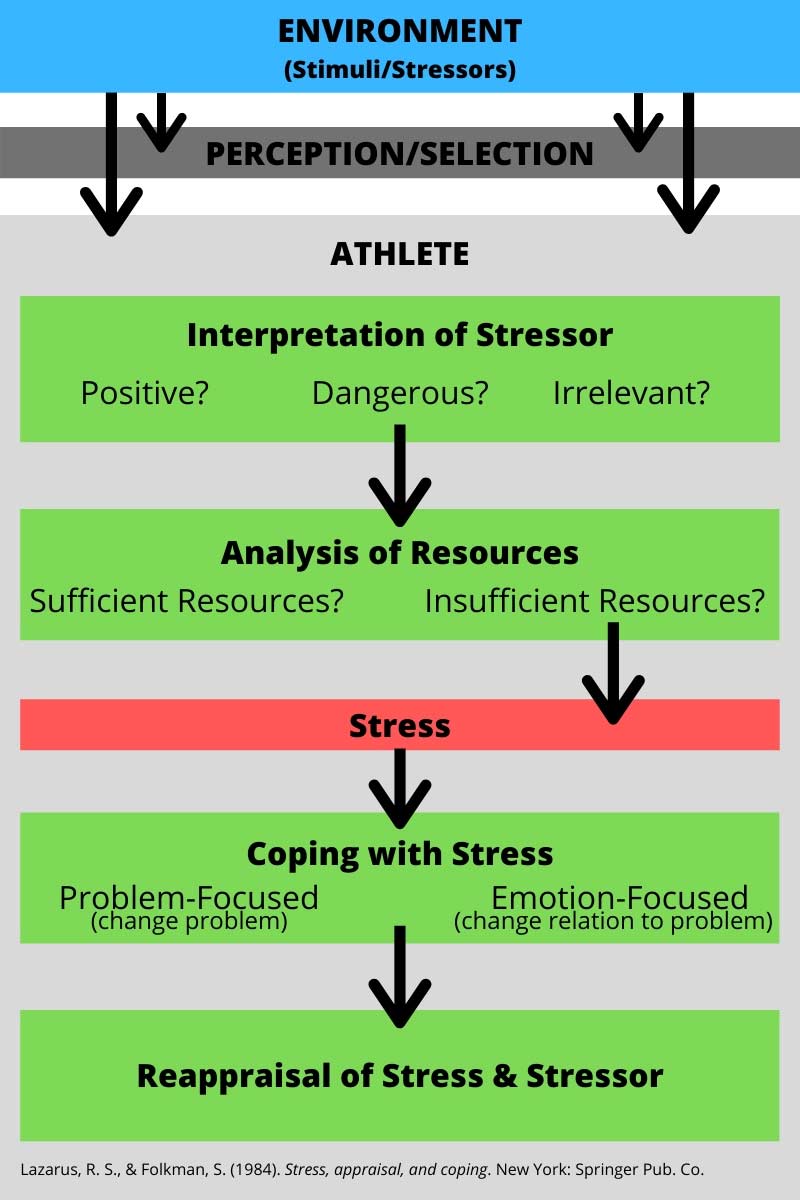 Stress Model