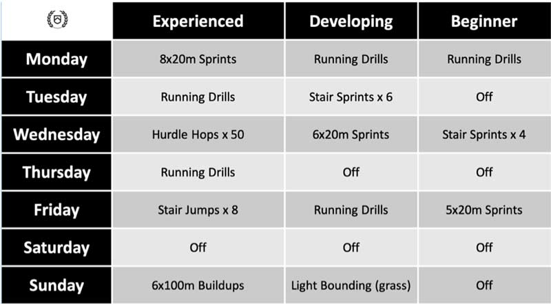 Babbitt Workout Chart