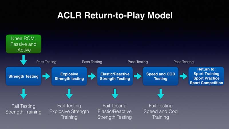 ACL Model
