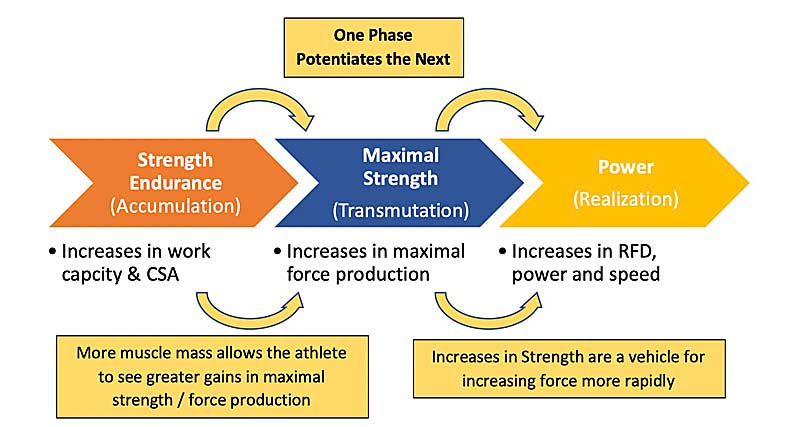 Phase Potentiation