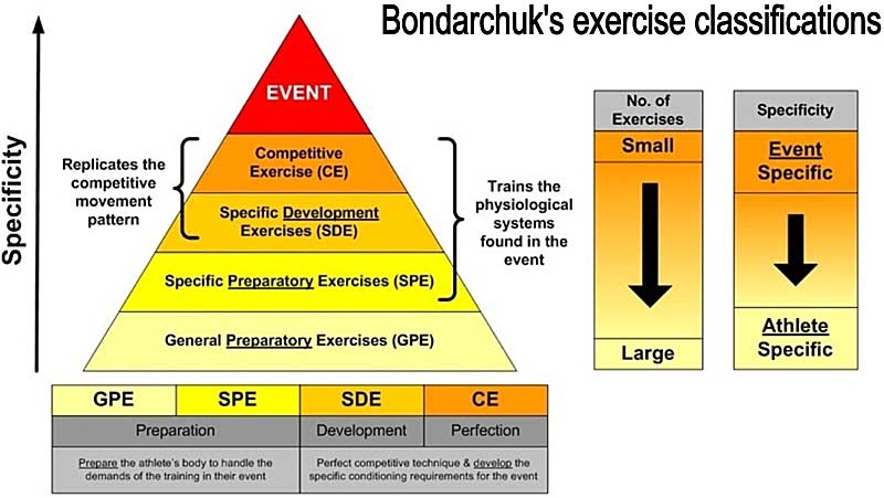 Exercise Classifications