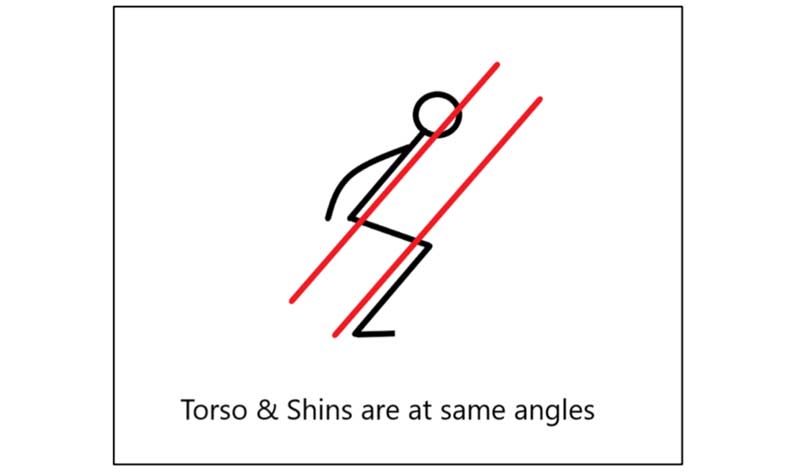 Torso Shins