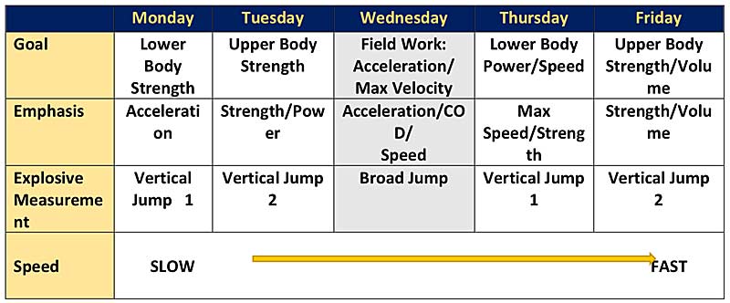 Westside Barbell Program: Training Template for Athletes