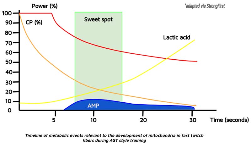 Metabolic Timeline