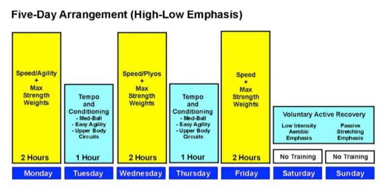 Overview of the compound and the complex training programs.*