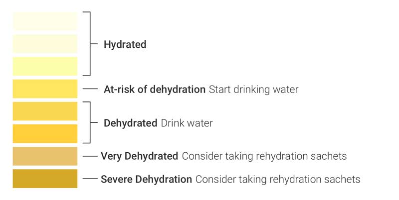 Hydration Levels