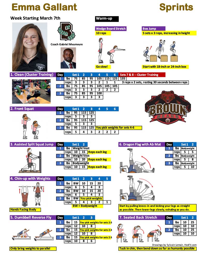 Cluster Training: A Novel Method for Introducing Training Program