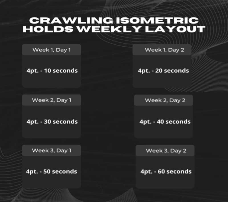 Crawling Infographic