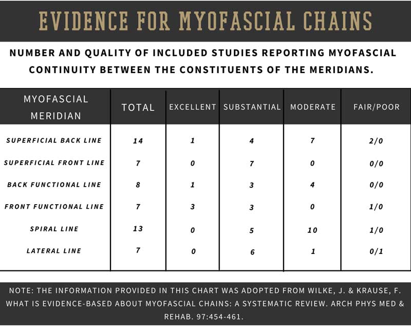 Myofascial Chains