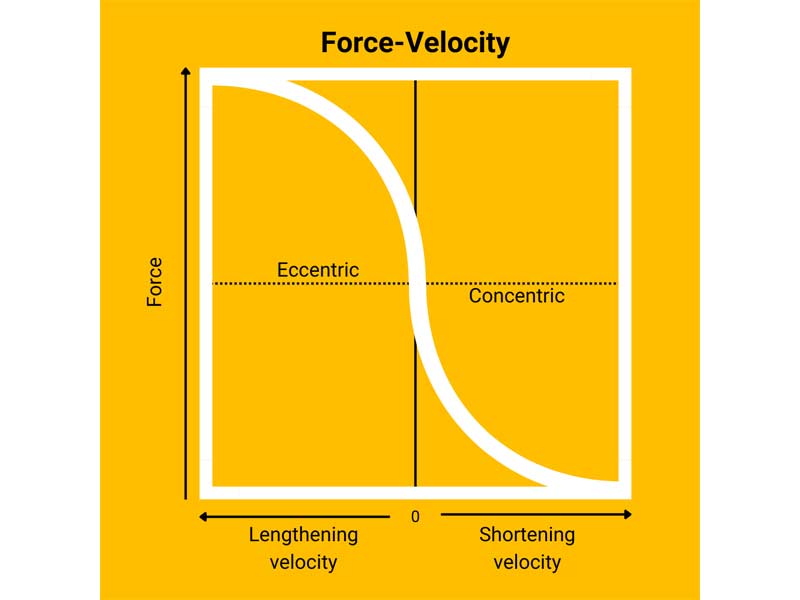 Force-Velocity
