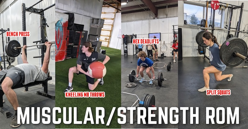 Muscular Strength ROM