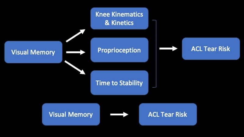 Visual Memory & ACL Risk