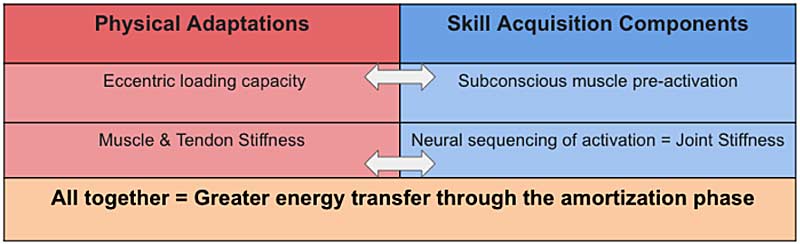 Adaptations