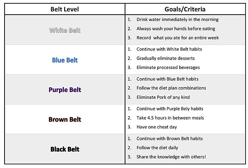 Belt System