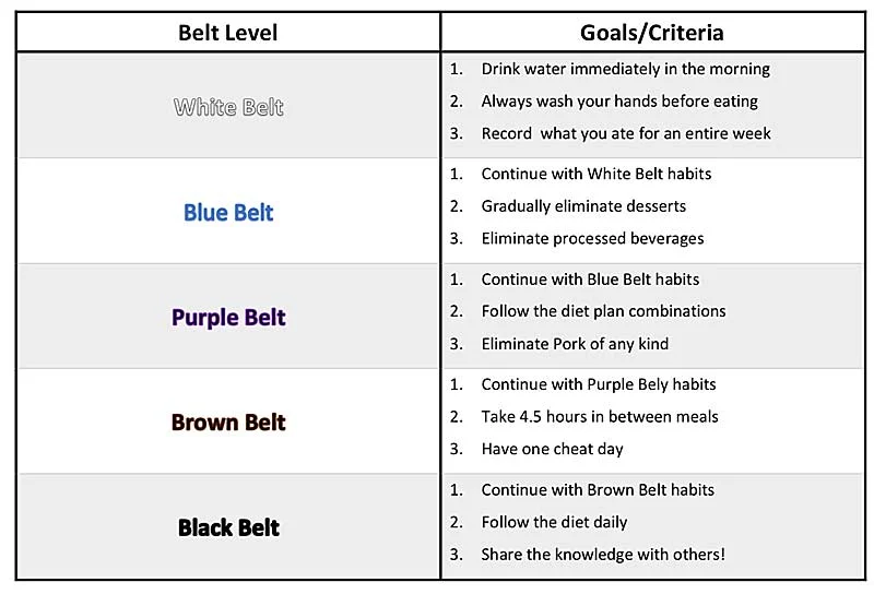 Belt System