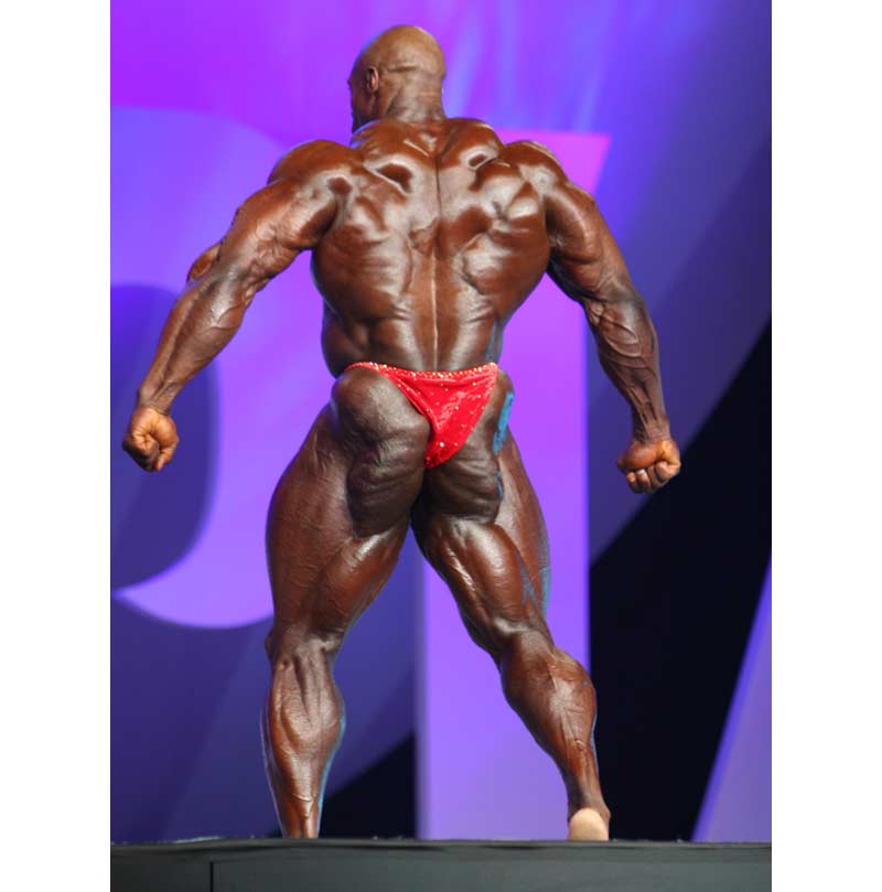 Bodybuilder