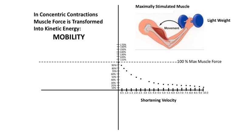 Concentric Load