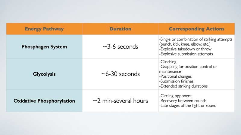 Energy System Chart