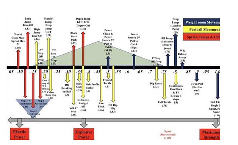 FAU Chart
