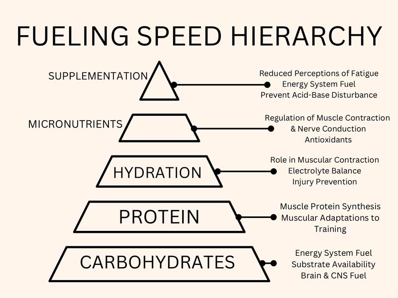 Fueling Speed Hierarchy