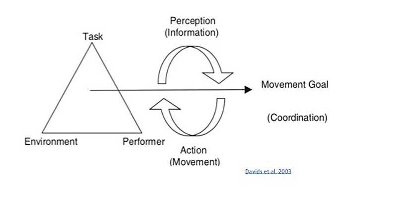 Perception