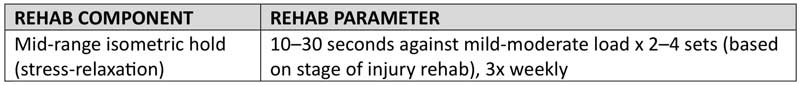 Rehab Parameters
