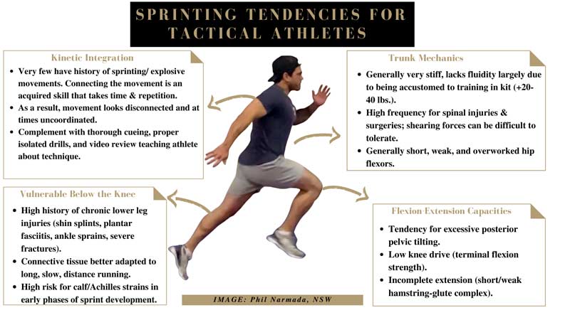 Sprint Tendencies