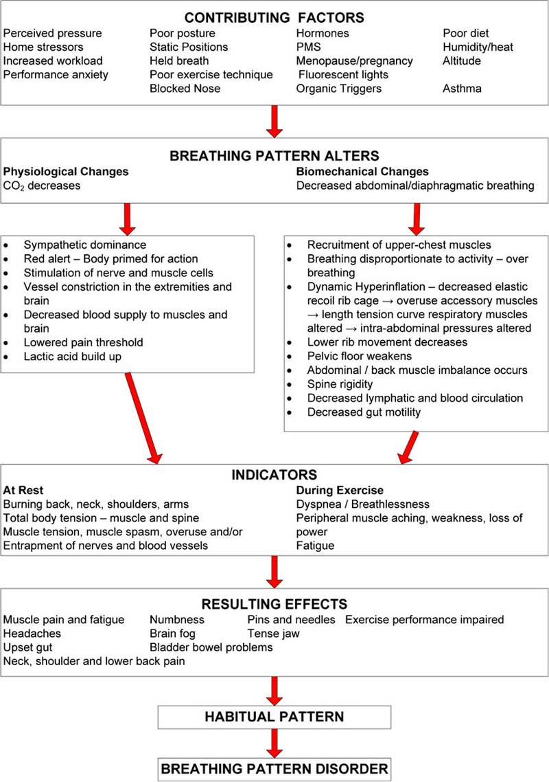 Tania Clifton Smith Diagram