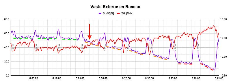 Rowing Step Test